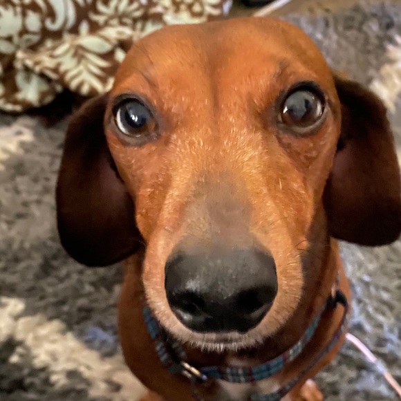 Meet your Posher, Catherine - Picture 5 of 8